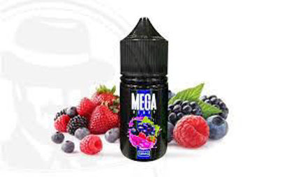 Picture of MEGA BERRY SALTNIC